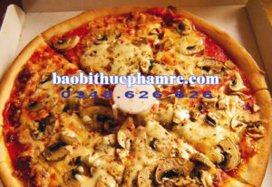 tui-nilon-dung-hop-banh-pizza-m-1.5